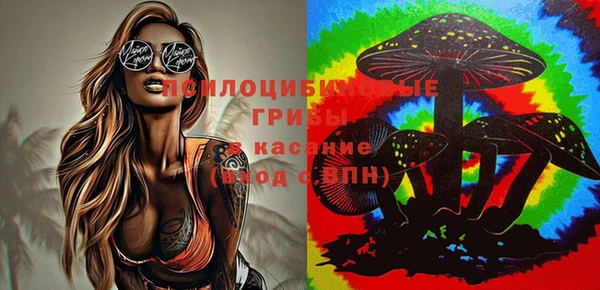 метадон Алексеевка