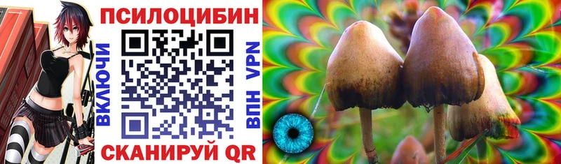 Галлюциногенные грибы Magic Shrooms Зерноград